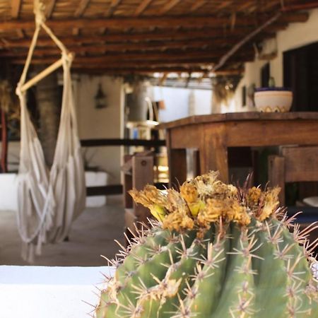 Rustico Lounge - Property In Front Of The Beach San José del Cabo Kültér fotó