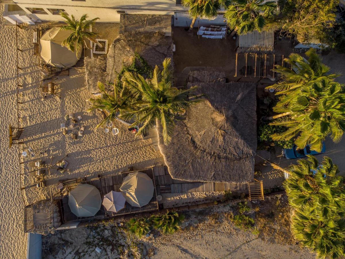 Rustico Lounge - Property In Front Of The Beach San José del Cabo Kültér fotó